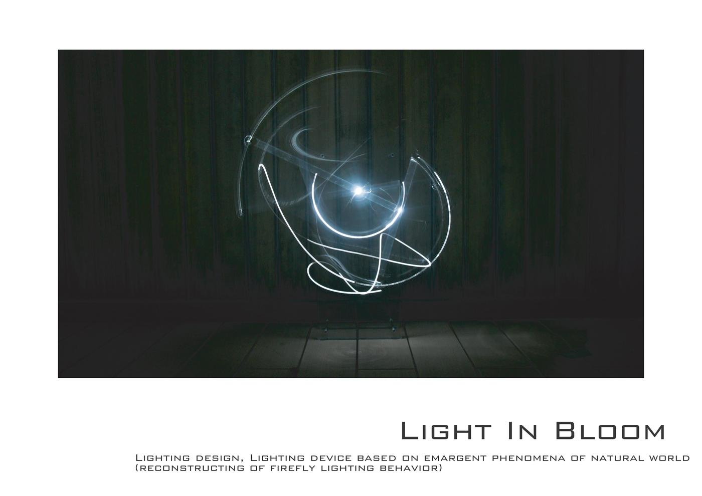 Light In Bloom