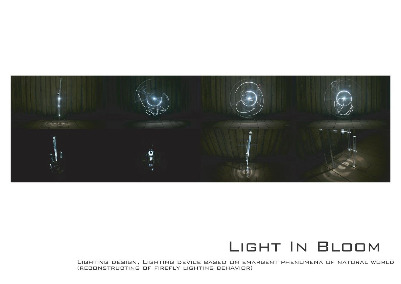 Light In Bloom イメージ 2