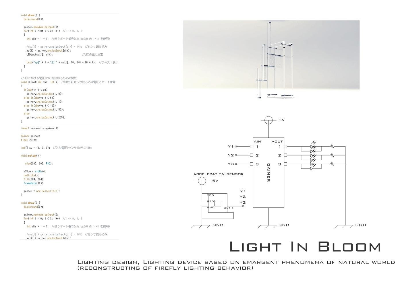 Light In Bloom イメージ 3