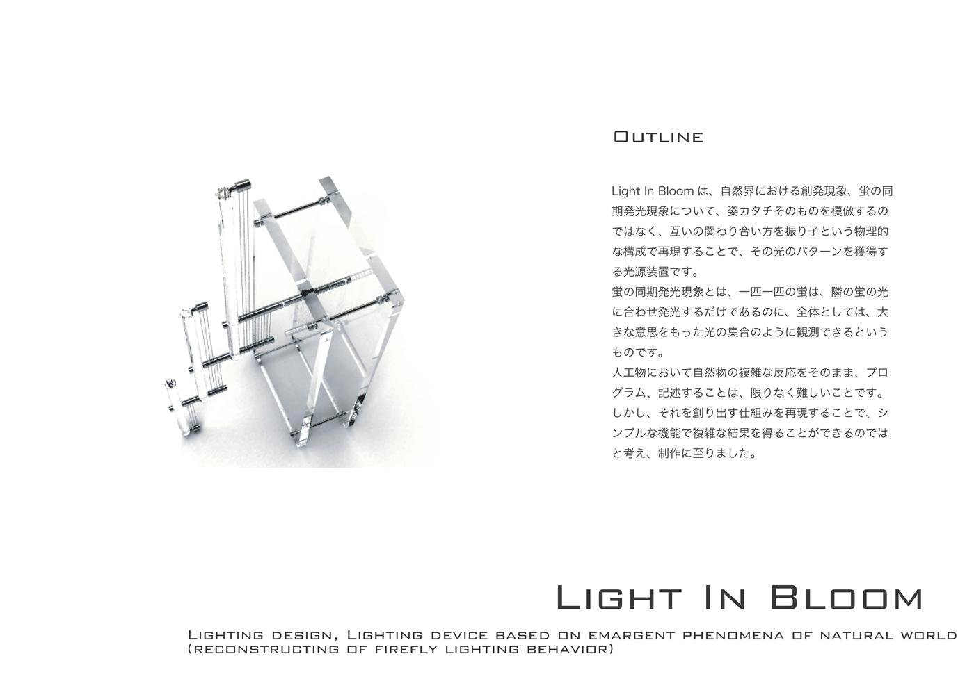 Light In Bloom イメージ 4