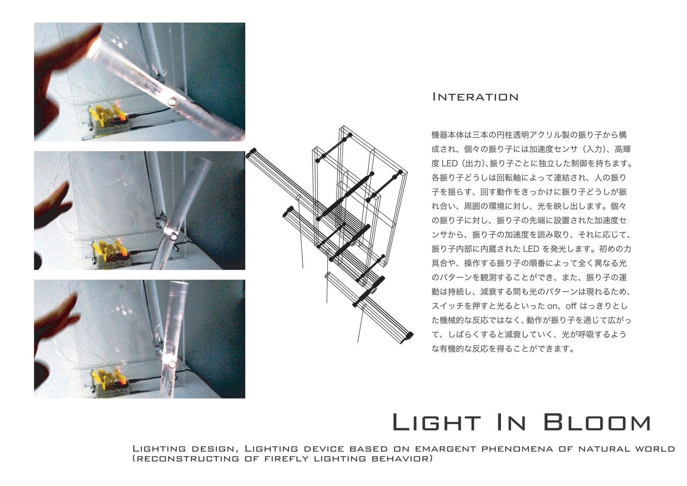 Light In Bloom イメージ 5
