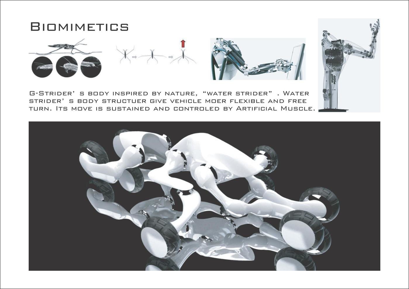 G-Strider イメージ 3
